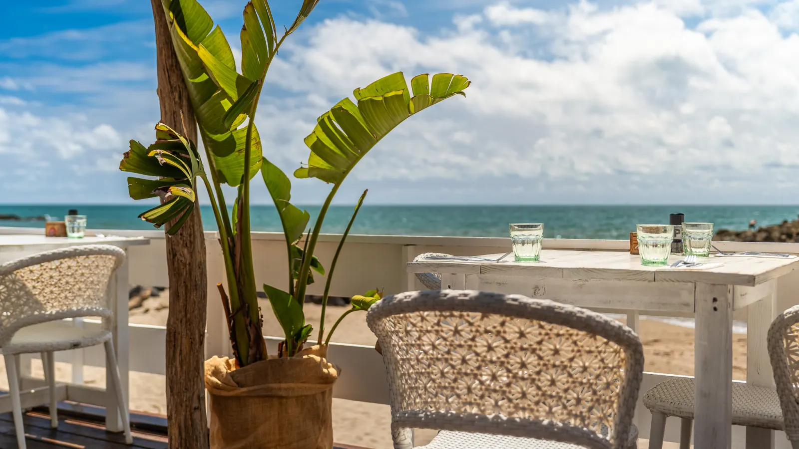 La terrasse du restaurant face à la Méditerranée, entre bananiers et fauteuils blancs